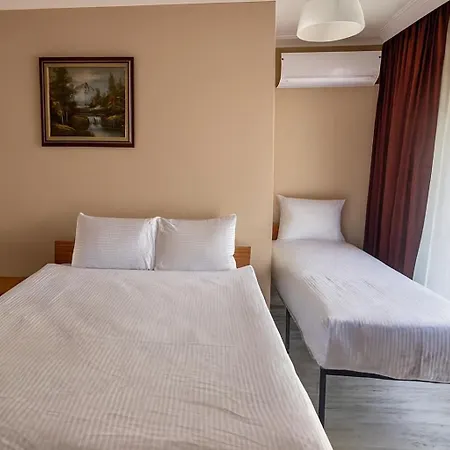 Otel Lion Stone *