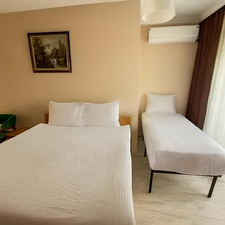 Lion Stone Hotel Istanbul