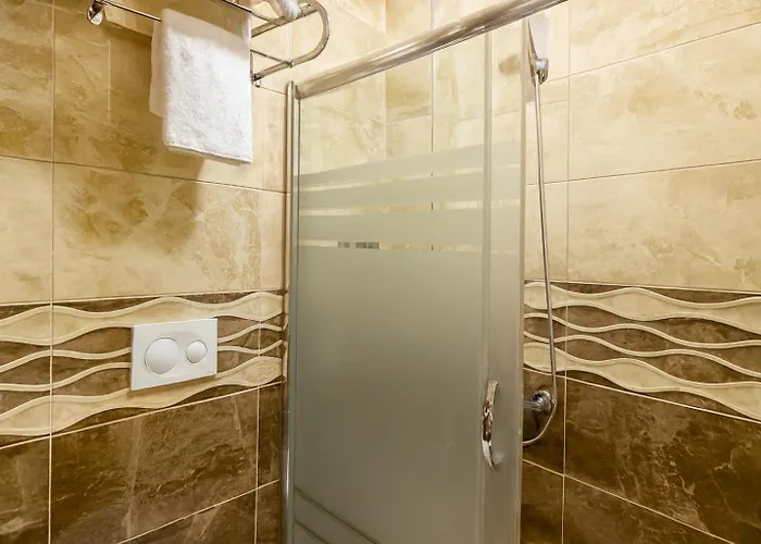 Lion Stone Hotel Istanbul