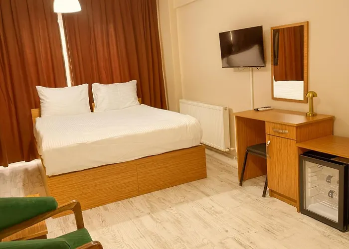 Lion Stone Istanboel