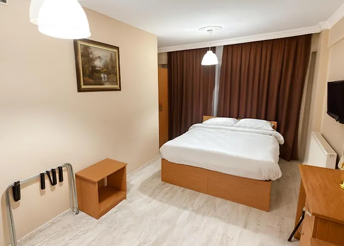 Lion Stone فندق اسطنبول