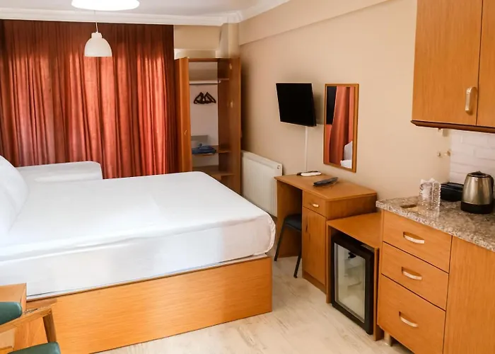 Lion Stone * Istanbul